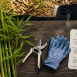 bambou comment entretenir table outils rhizome